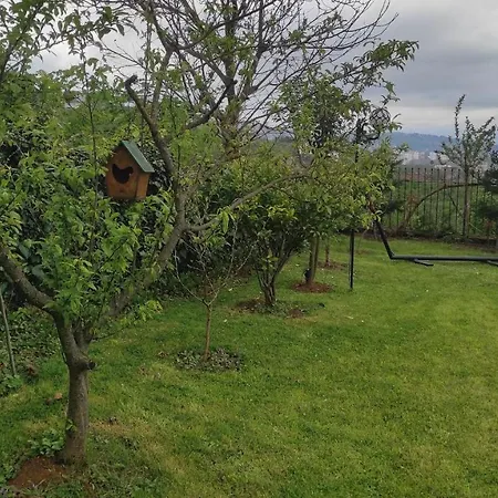 Aydinlar Villa Trabzon
