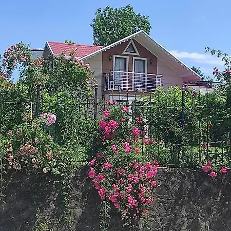 Aydinlar Villa *